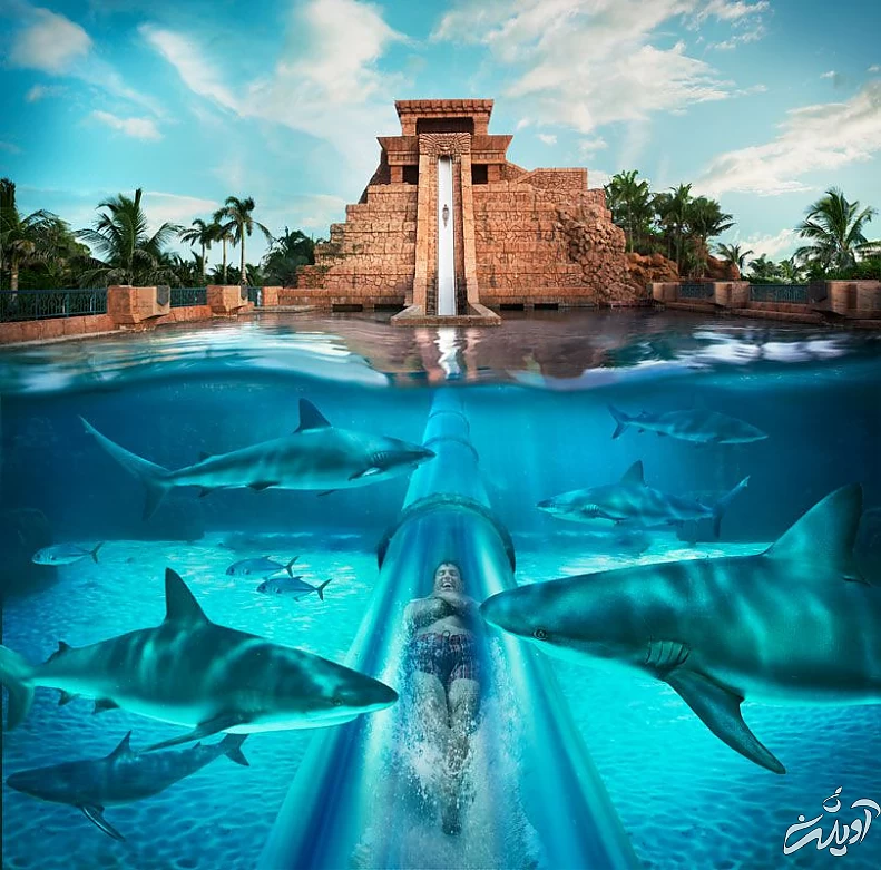 مقایسه پارک آبی آتلانتیس دبی با رقیب خود پارک آبی وایلد وادی